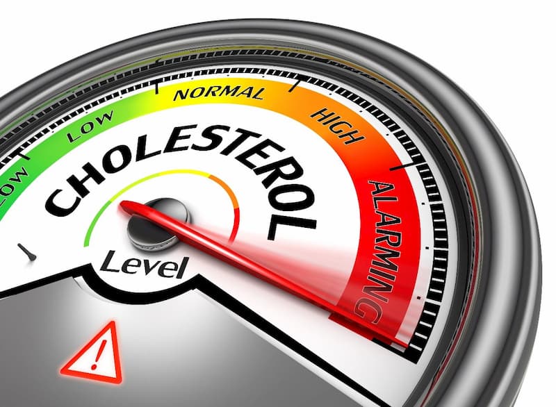 WHF Roadmap for Cholesterol – Update