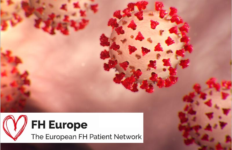 Support for the FH Europe Network in COVID19 crisis