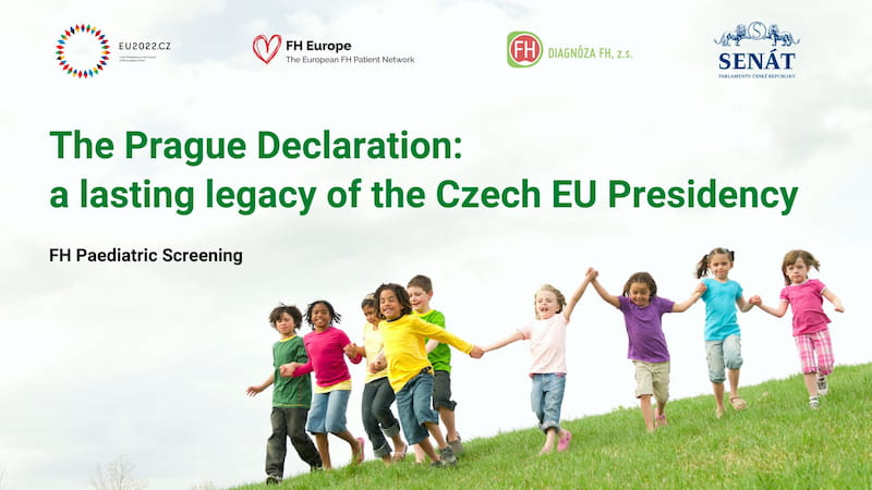 The legacy of the Czech EU Presidency