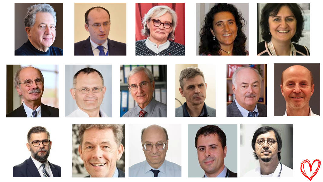 FH Europe creates a Scientific and Public Health Advisory Committee